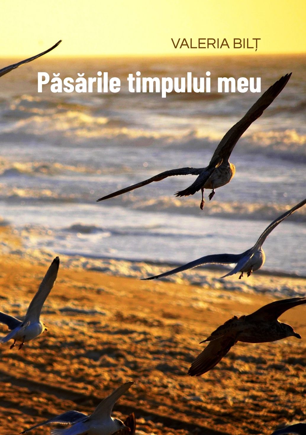 VALERIA BILȚ PĂSĂRILE TIMPULUI MEU